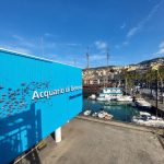 Dr Johann Cussey – AUREA Technology